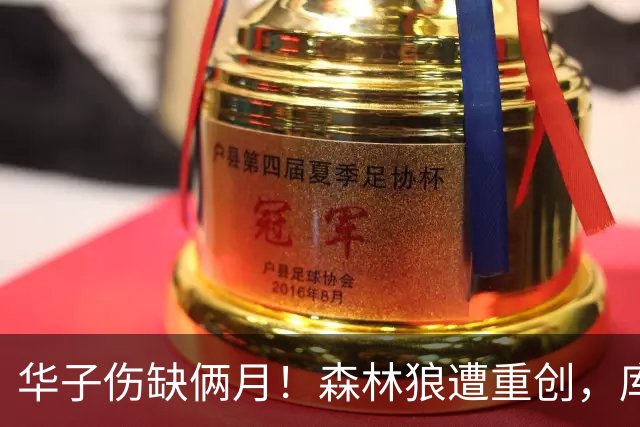 华子伤缺俩月！森林狼遭重创，库明加又要开始放开瞎抡了？