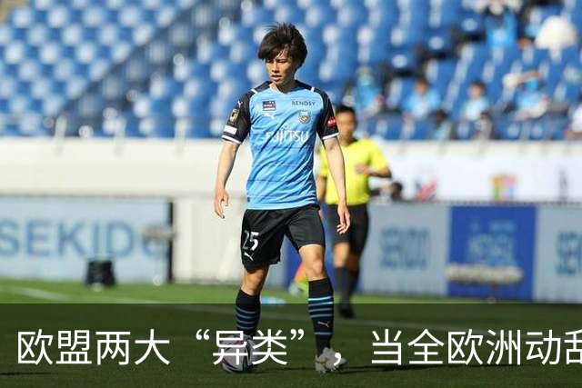 欧盟两大“异类”，当全欧洲动乱时，靠中国走上“捷径”躲过一劫